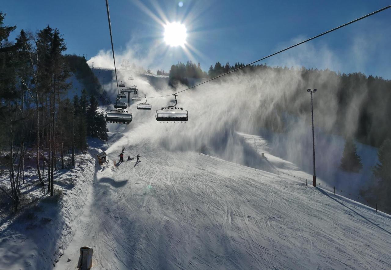 Quartier12 "Ski In & Bike Out" - Fewo Berg Willingen  Exterior foto