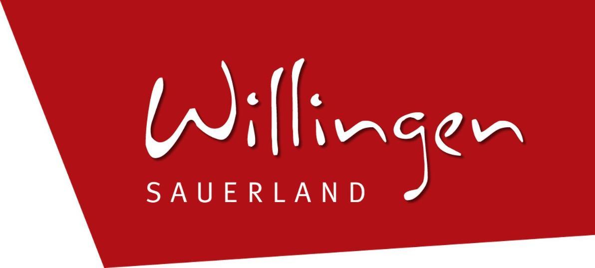 Quartier12 "Ski In & Bike Out" - Fewo Berg Willingen  Exterior foto